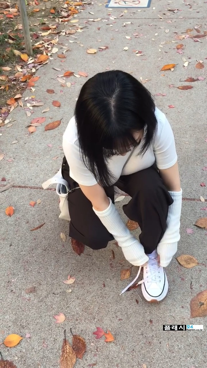 17333157728338.jpeg