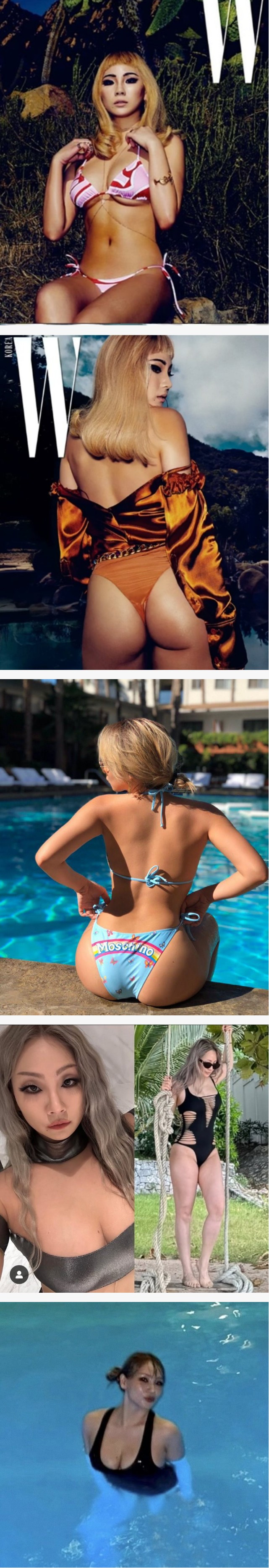 1734849361661.jpg