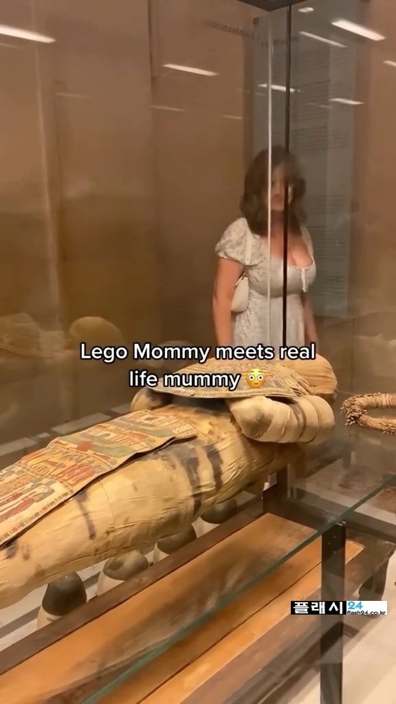 17351410459269.jpeg