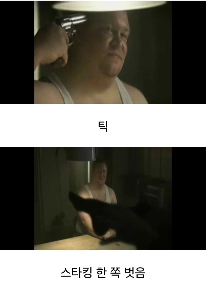 1736652952442.jpg