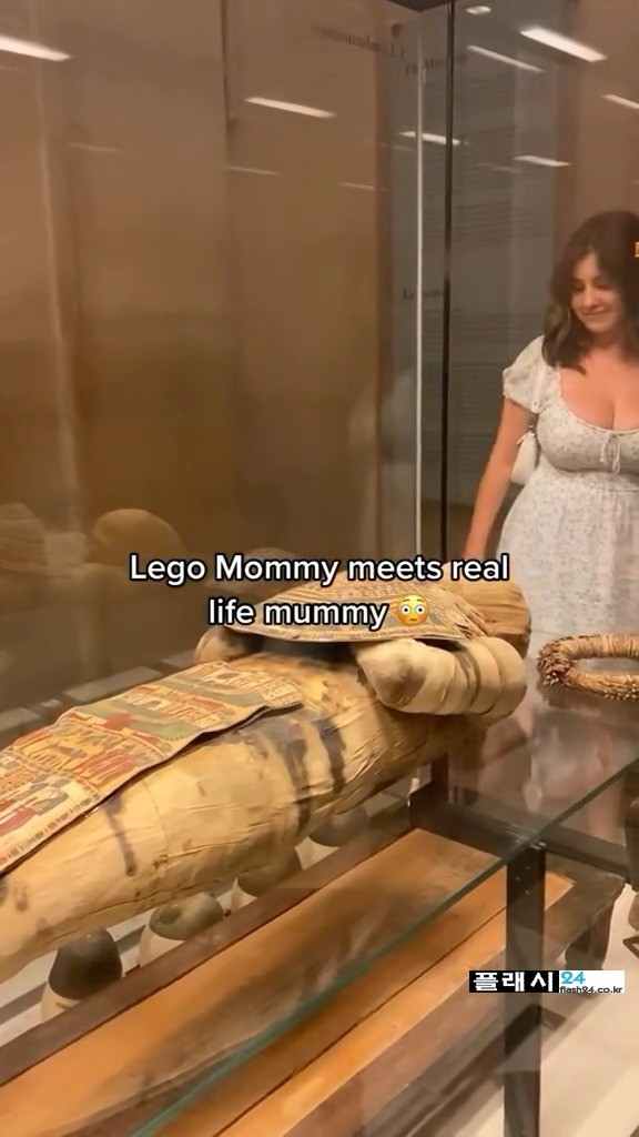 17366961250486.jpeg