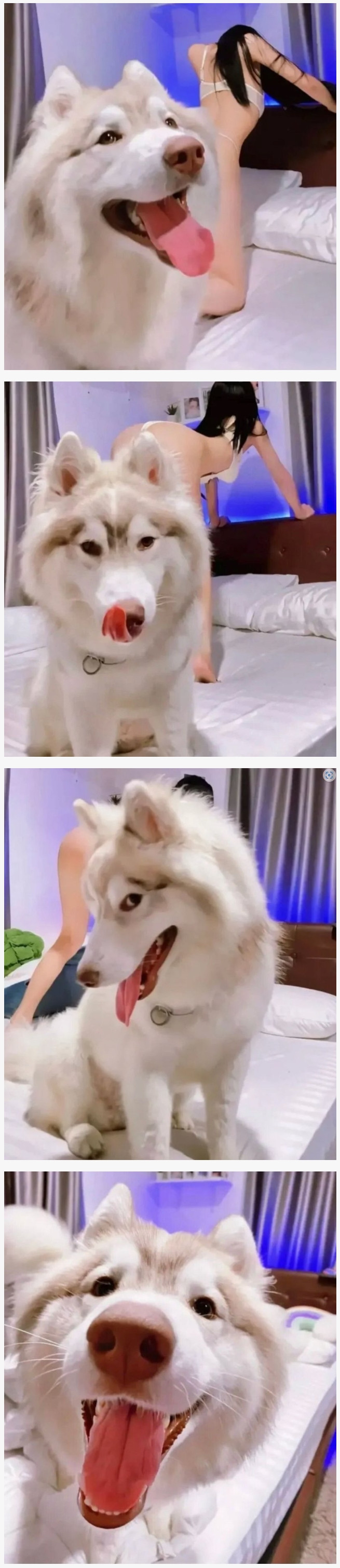 17370958761387.jpeg
