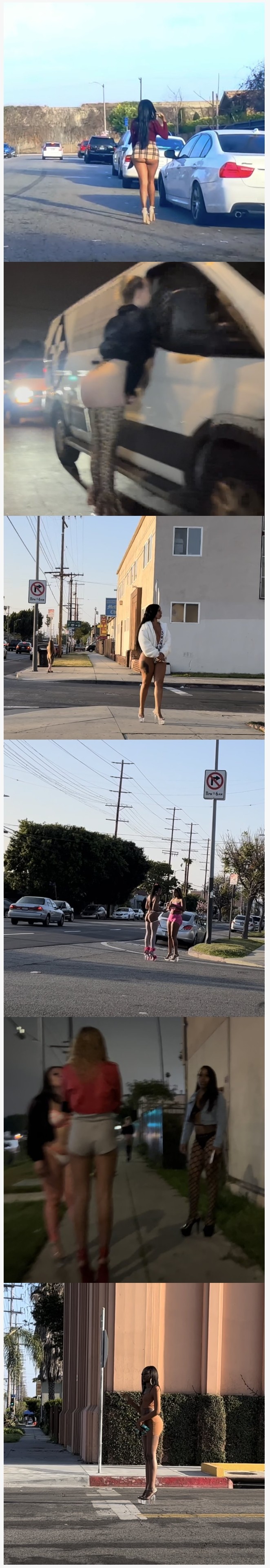 17383053263039.jpeg