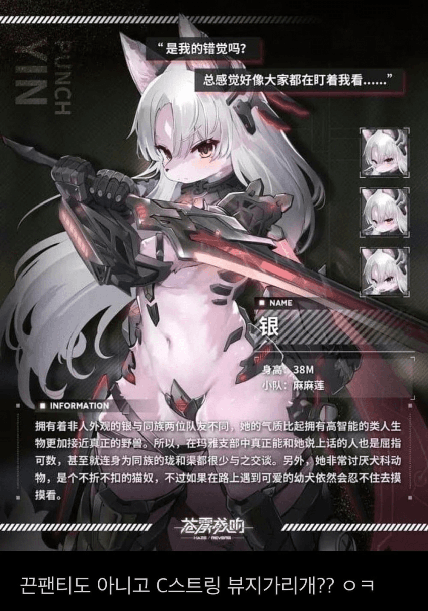 17399252788775.png