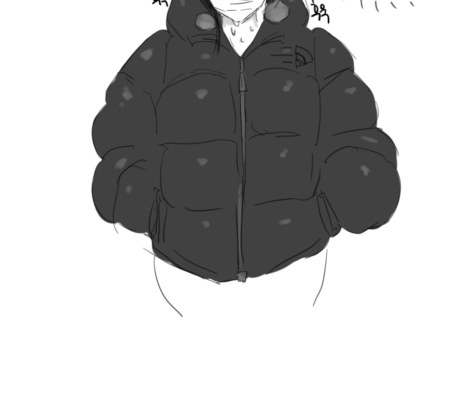 thumb-17351194083233_900x791.png